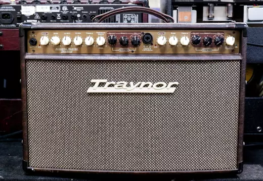 Traynor - AM Standard 2-Channel Stereo Acoustic Guitar Amp - 150 Watts